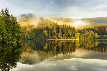 See im Wald im Harz